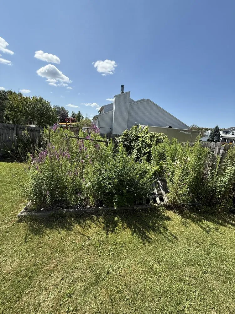 Affordable lawn mowing service in Clay, NY - Avard Property Maintenance