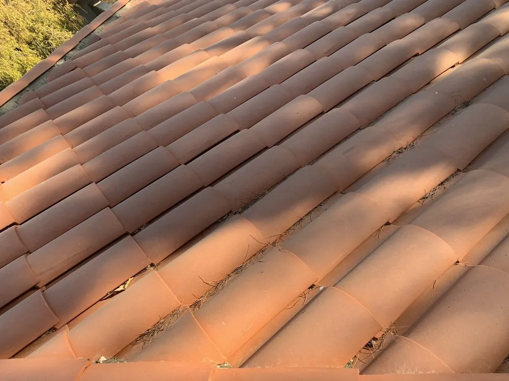 Top-rated garden landscaping for residential properties in Santa Maria, CA by Avatar Landscaping