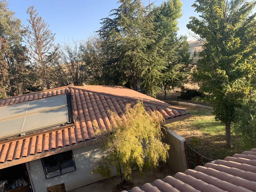 Affordable yard cleanup service in Santa Maria, CA by Avatar Landscaping