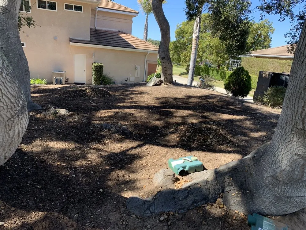 Reliable lawn care service near you across Santa Maria, CA - Avatar Landscaping