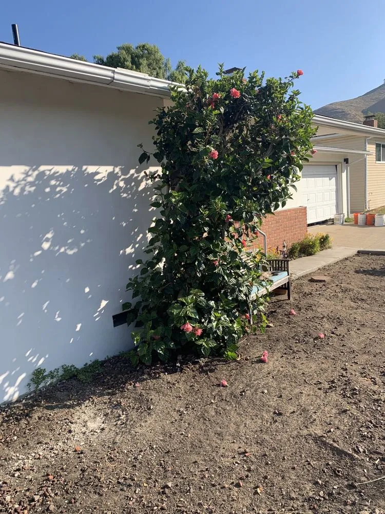 Top-rated lawn care service near you across Santa Maria, CA - Avatar Landscaping