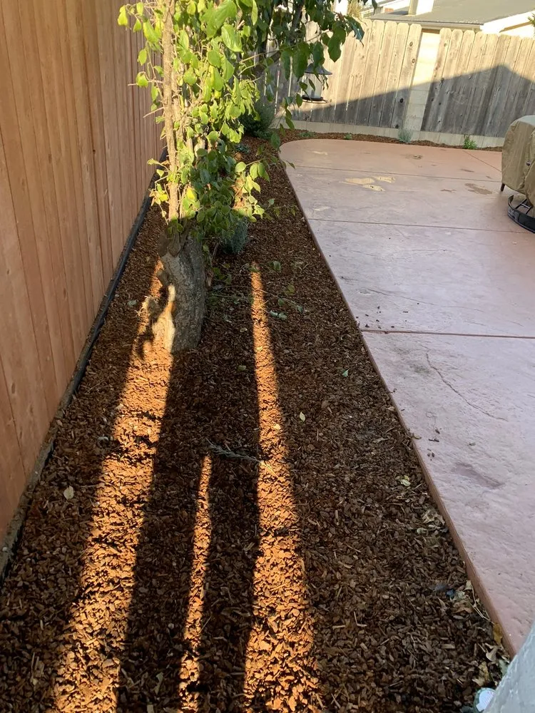 Local landscape installation in Santa Maria, CA by Avatar Landscaping