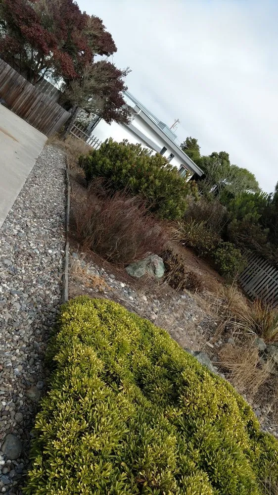 Trusted garden landscaping for outdoor upgrades across Santa Maria, CA - Avatar Landscaping