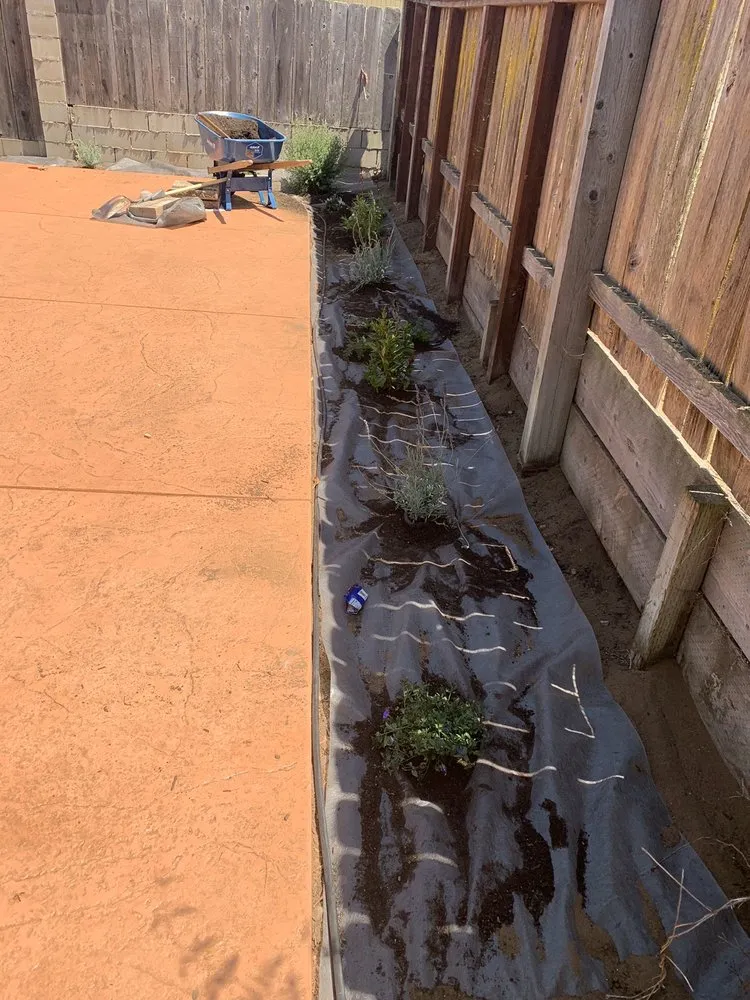 Local garden landscaping in Santa Maria, CA - Avatar Landscaping