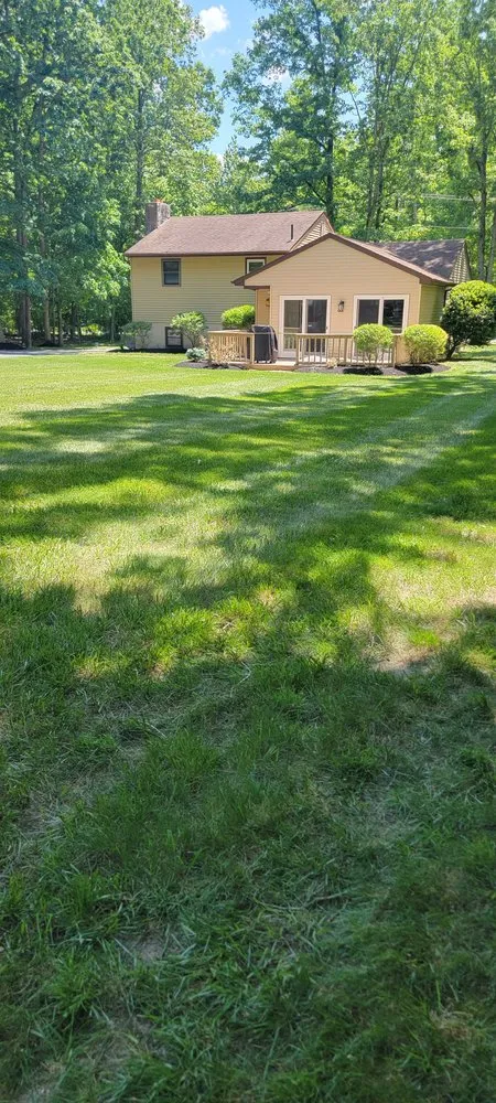 Expert yard cleanup service in Bridgeton, NJ - AVC Landscaping