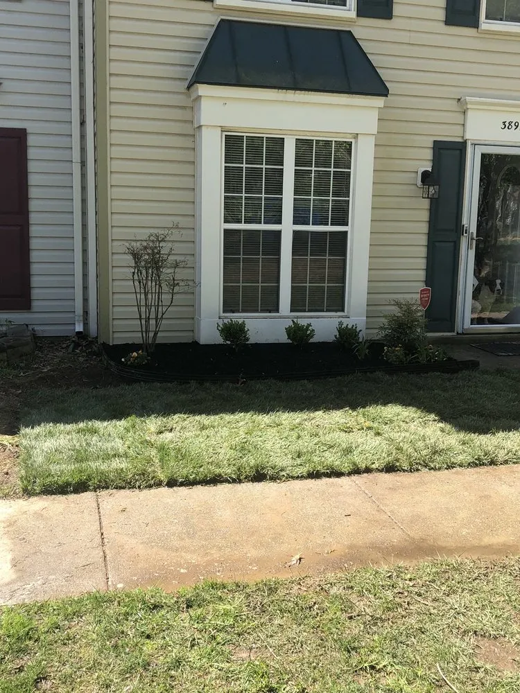 Professional yard cleanup service experts serving Brandywine, MD - Ave Landscaping