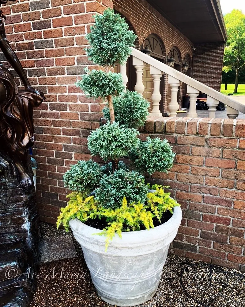 Expert landscaping services for outdoor upgrades in Rochester, MI by Ave Maria Landscape & Statuary