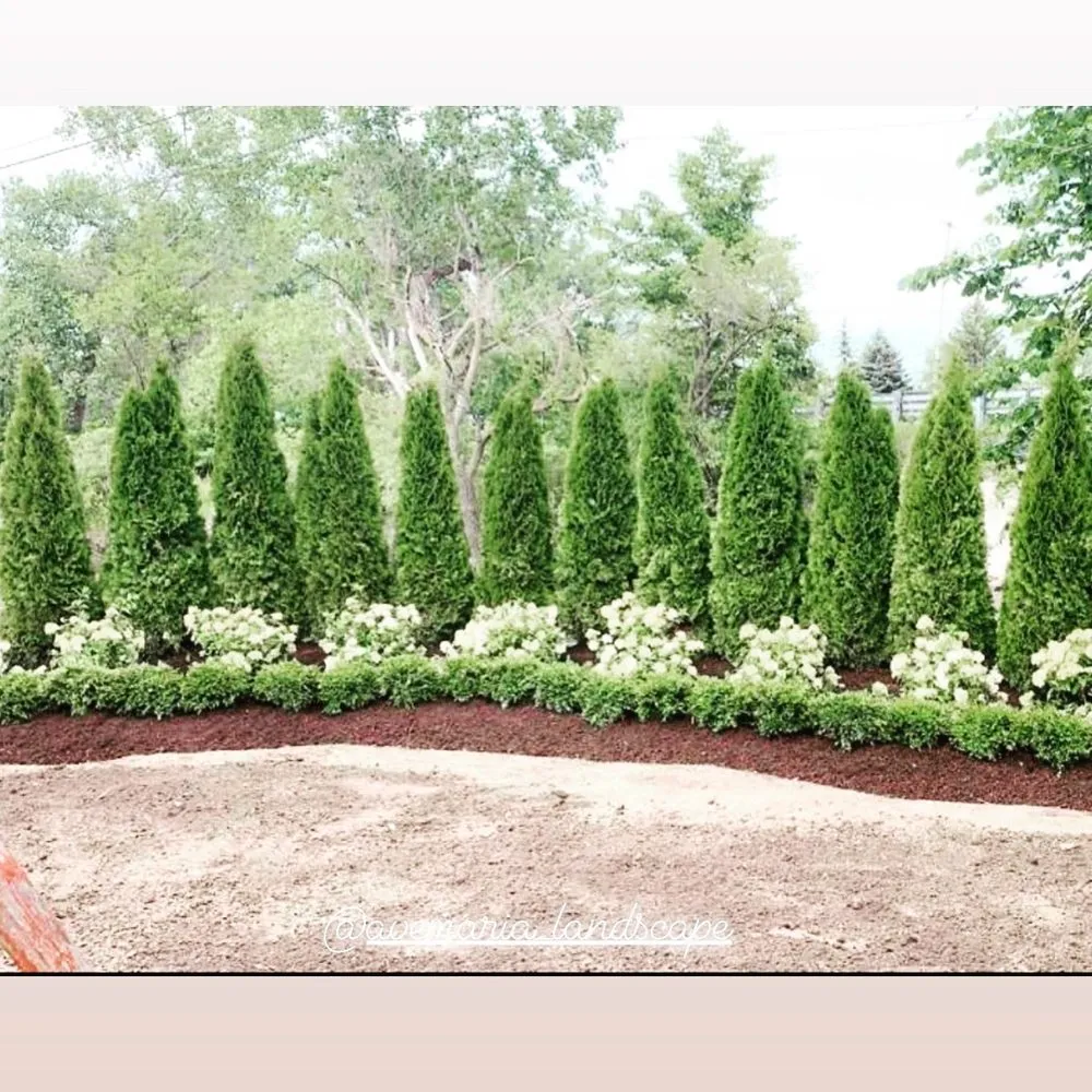 Top-rated landscape installation for beautiful yards across Rochester, MI - Ave Maria Landscape & Statuary
