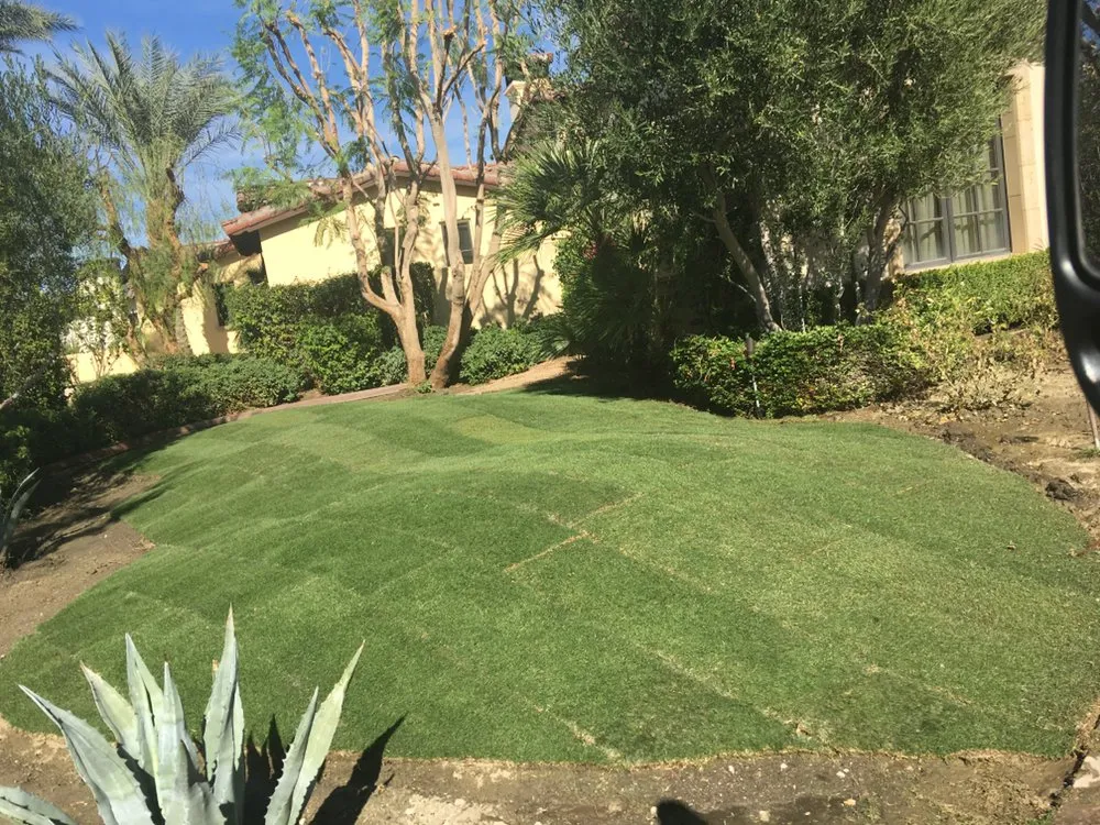 Custom yard maintenance for outdoor upgrades across Cathedral City, CA - Avelar Gardening