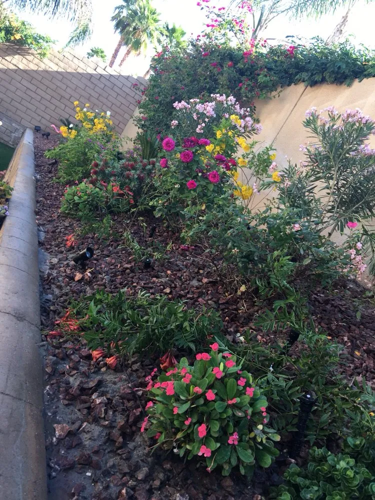 Local landscape installation experts serving Cathedral City, CA - Avelar Gardening