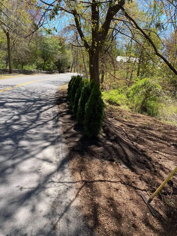 Local lawn care service experts serving Fitchburg, MA - Avelar Landscaping