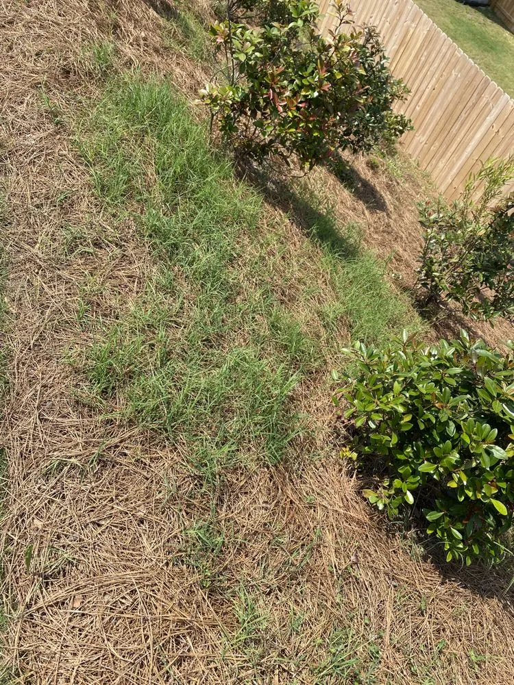 Local yard maintenance with custom design in Chamblee, GA by Avelino Landscaping