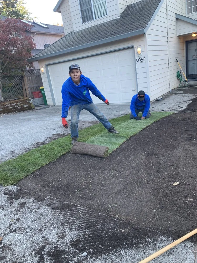 Local landscape installation in Portland, OR by Avendano Lawn Care & Maintenance