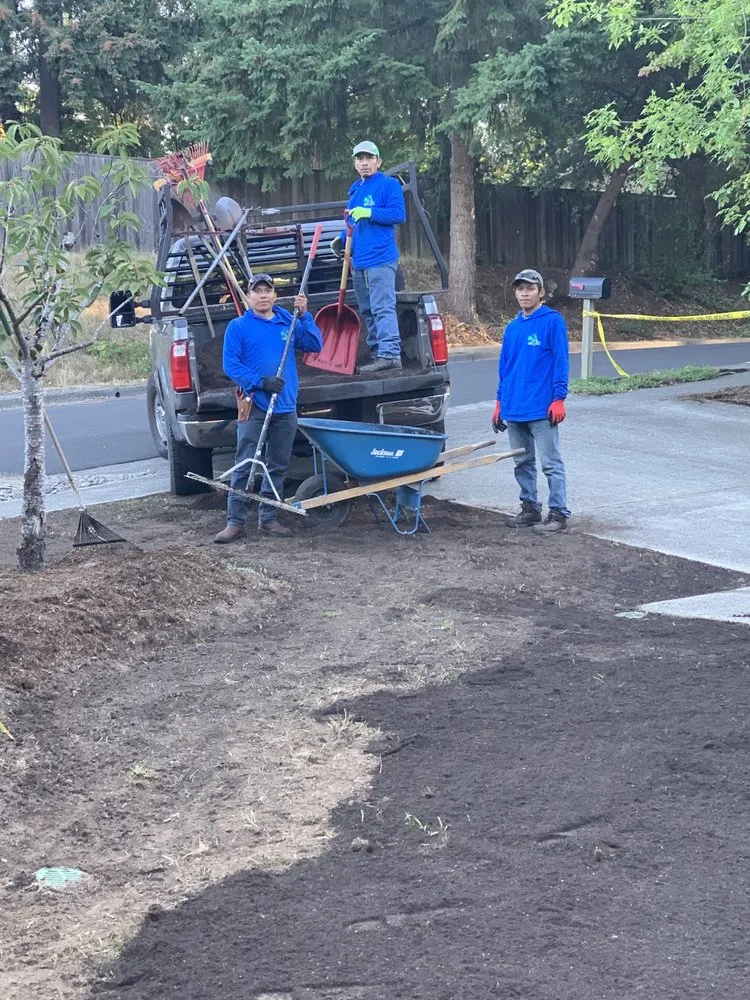 Professional lawn care service experts serving Portland, OR - Avendano Lawn Care & Maintenance