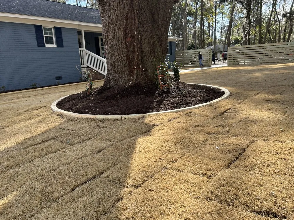 Professional landscaping services near you in Springfield, GA by Avendano's Home Services