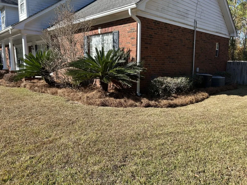 Affordable residential landscaping in Springfield, GA by Avendano's Home Services