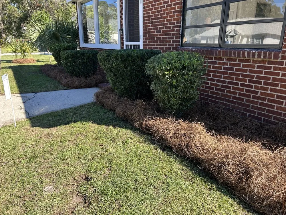 Top-rated residential landscaping in Springfield, GA by Avendano's Home Services