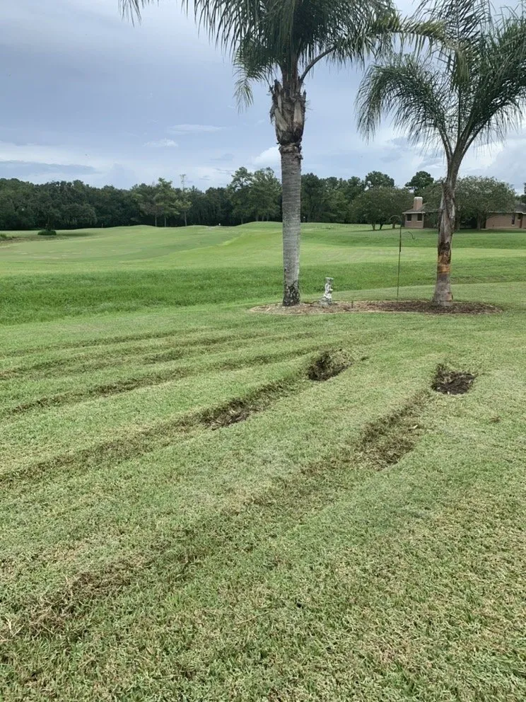 Local lawn care service in Spring Hill, FL - Aventura Nursery & Landscape