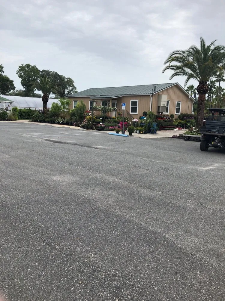 Trusted landscaping services experts serving Spring Hill, FL - Aventura Nursery & Landscape