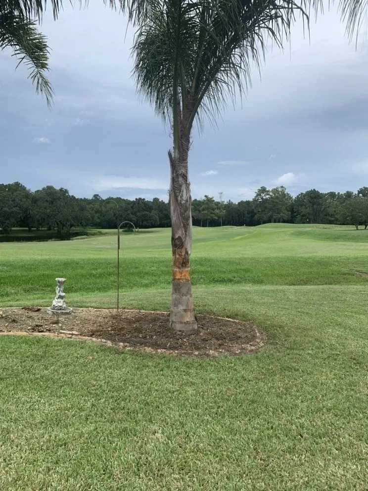 Custom outdoor landscaping experts serving Spring Hill, FL - Aventura Nursery & Landscape