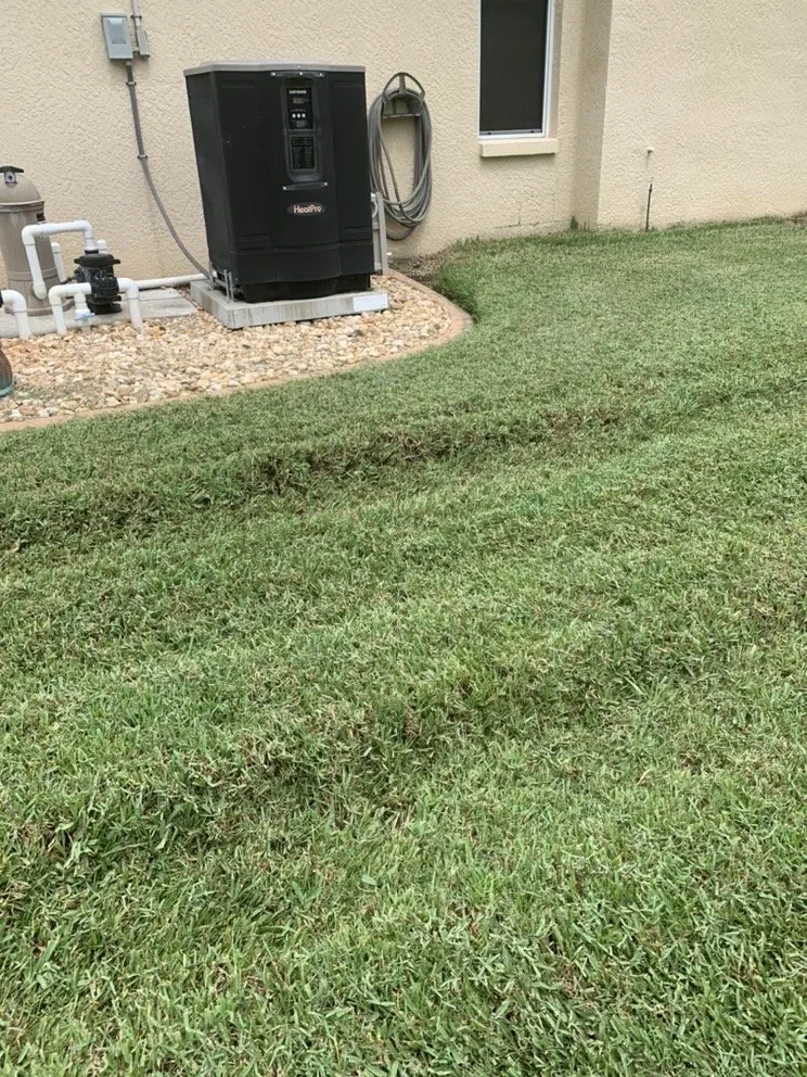 Top-rated outdoor landscaping experts serving Spring Hill, FL - Aventura Nursery & Landscape