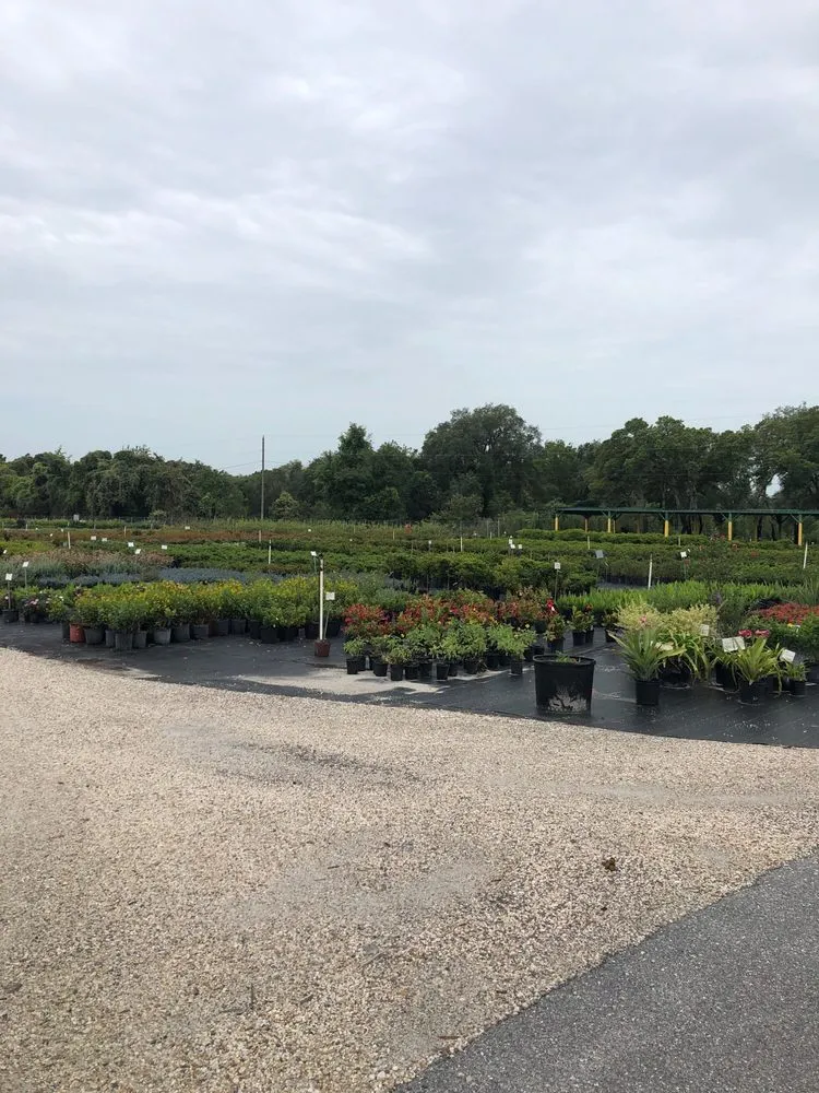 Affordable lawn care service near you across Spring Hill, FL - Aventura Nursery & Landscape