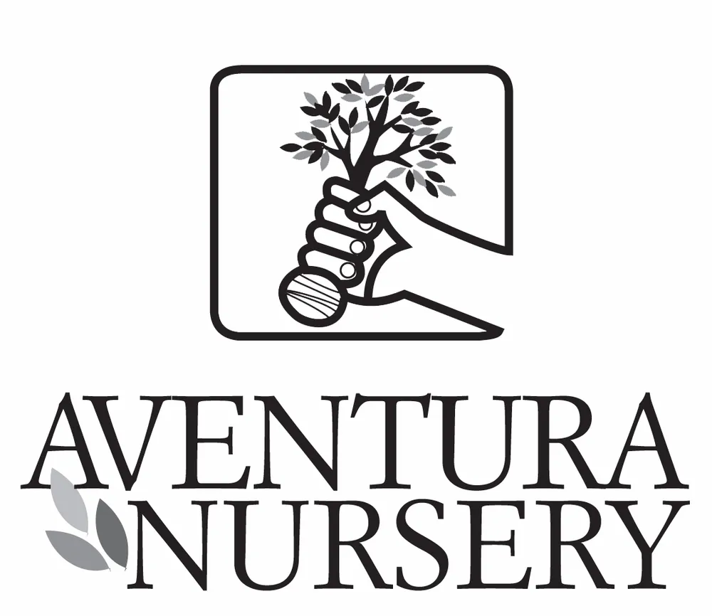 Trusted residential landscaping for year-round maintenance in Spring Hill, FL by Aventura Nursery & Landscape