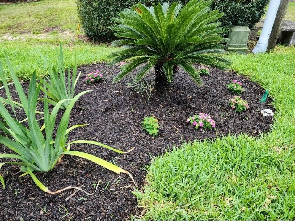 Affordable landscaping services in Spring Hill, FL by Aventura Nursery & Landscape