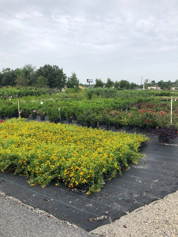 Professional landscape installation for residential properties in Spring Hill, FL by Aventura Nursery & Landscape