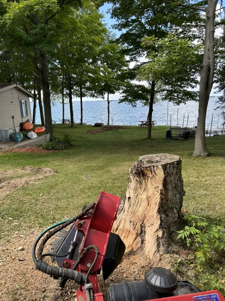 Affordable lawn care service for homes across Cape Vincent, NY - Average Guys Amazing Results