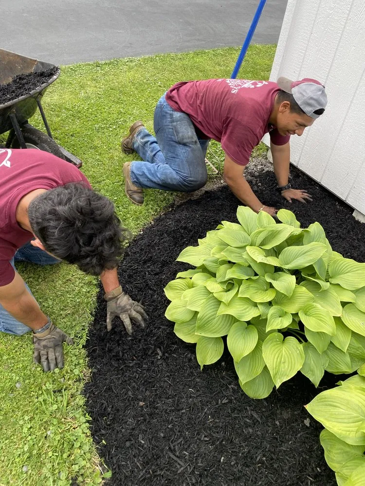 Affordable lawn care service experts serving Cape Vincent, NY - Average Guys Amazing Results