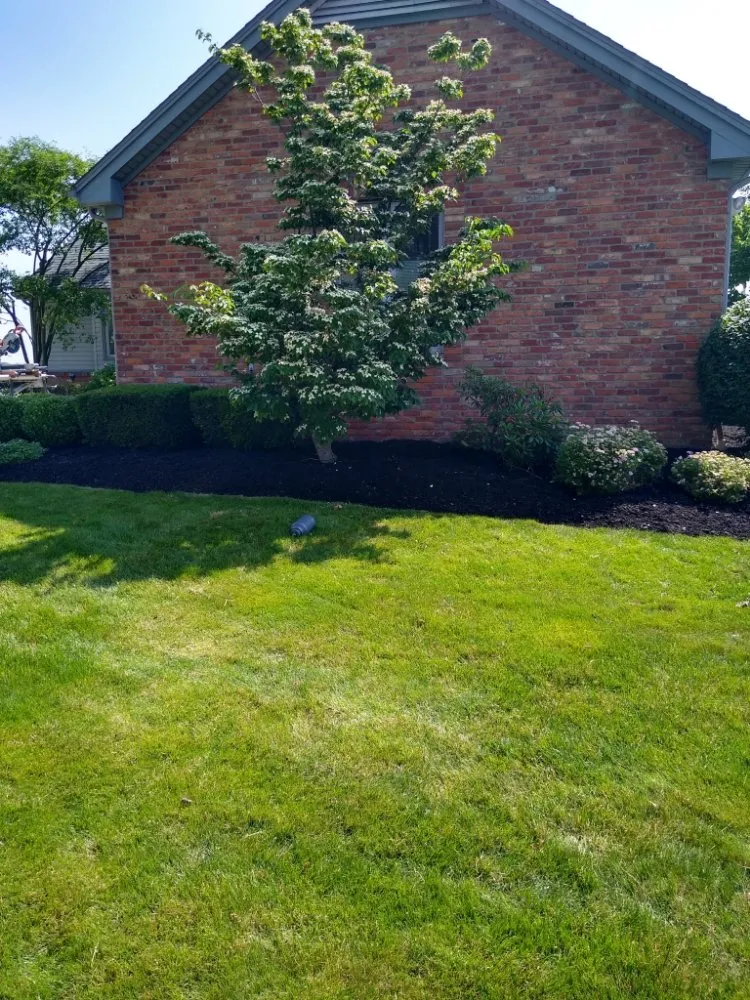Trusted yard maintenance in Temperance, MI - Average Joe's Property Maintenance