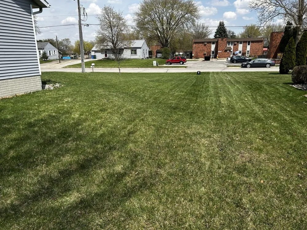 Custom yard cleanup service for residential properties in Evansdale, IA by Averhoff LMC