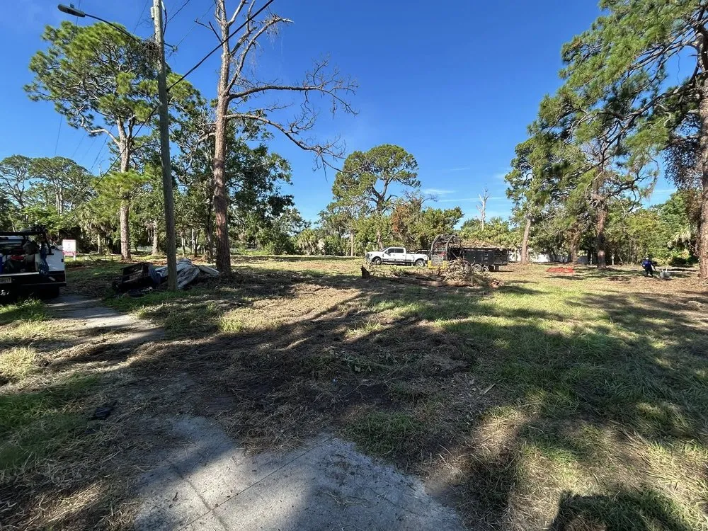 Affordable outdoor landscaping for beautiful yards across Bradenton, FL - Aversa Outdoor