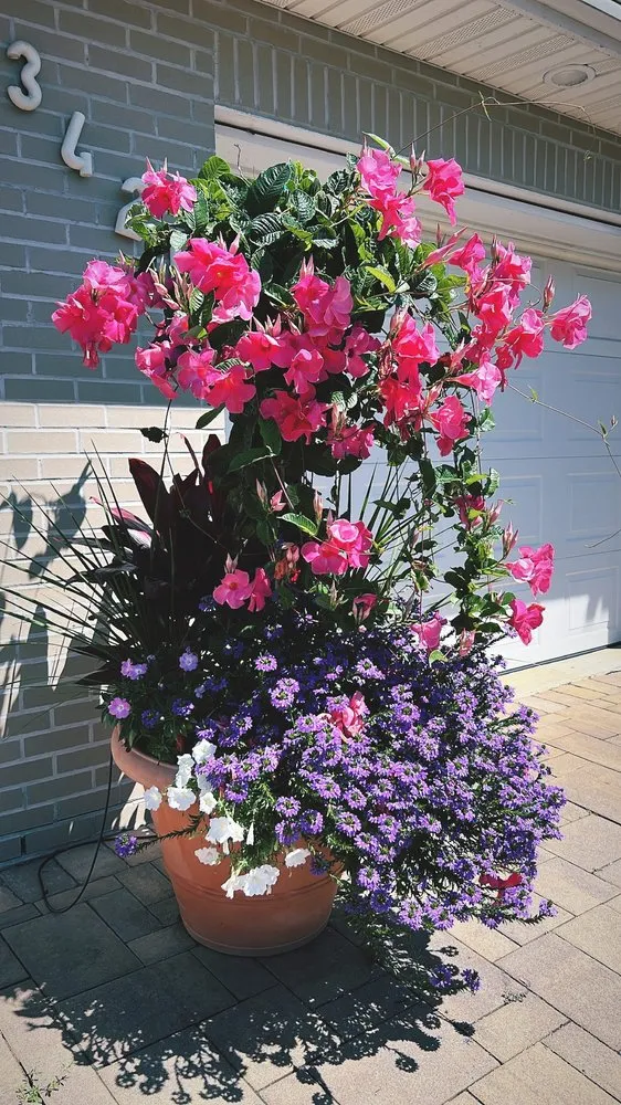 Professional residential landscaping for beautiful yards across West Hempstead, NY - Aversa Property Services