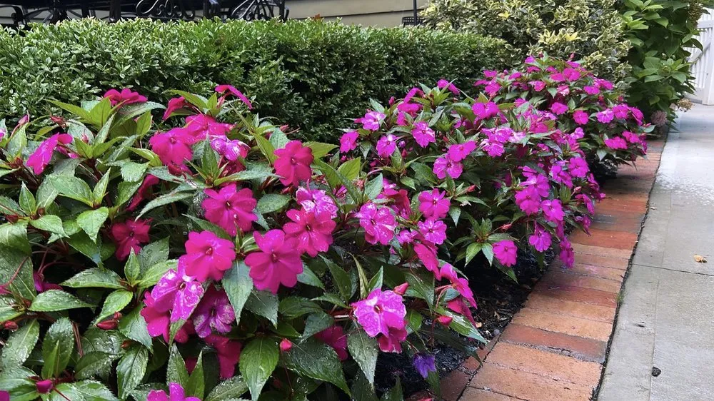 Expert landscape installation in West Hempstead, NY by Aversa Property Services