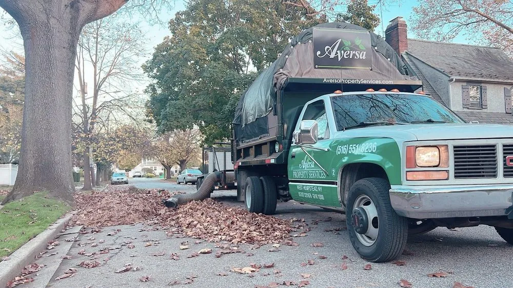 Custom yard cleanup service in West Hempstead, NY - Aversa Property Services