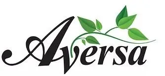 Trusted yard cleanup service in West Hempstead, NY by Aversa Property Services