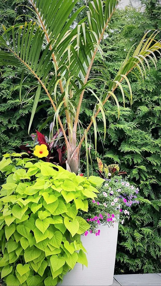 Top-rated lawn care service for residential properties in West Hempstead, NY by Aversa Property Services