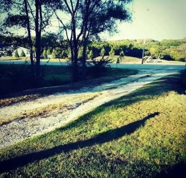 Custom residential landscaping for year-round maintenance across Des Moines, IA - Avery Lawn Tree Landscape