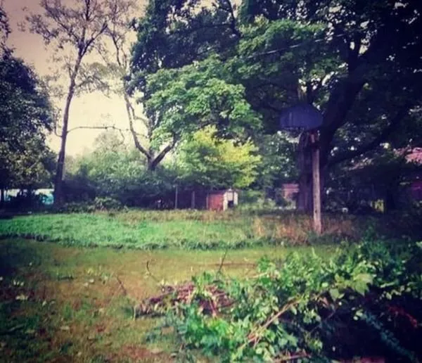 Expert garden landscaping in Des Moines, IA - Avery Lawn Tree Landscape