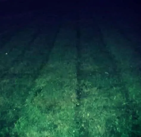 Custom residential landscaping for year-round maintenance in Des Moines, IA by Avery Lawn Tree Landscape