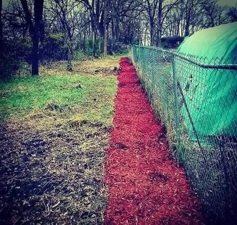 Expert landscape installation in Des Moines, IA - Avery Lawn Tree Landscape