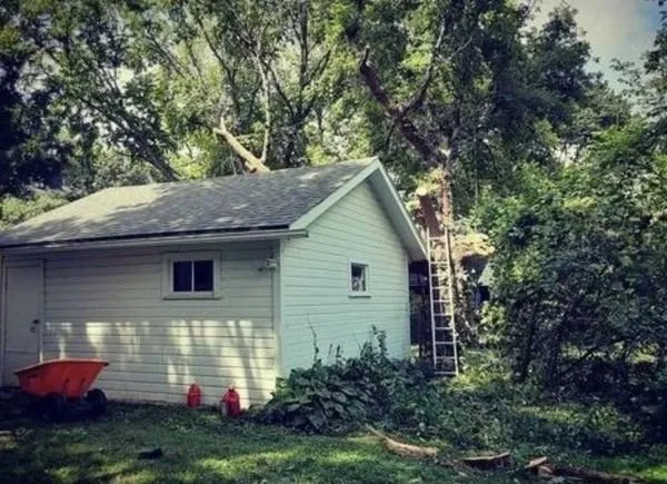 Affordable lawn mowing service experts serving Des Moines, IA - Avery Lawn Tree Landscape