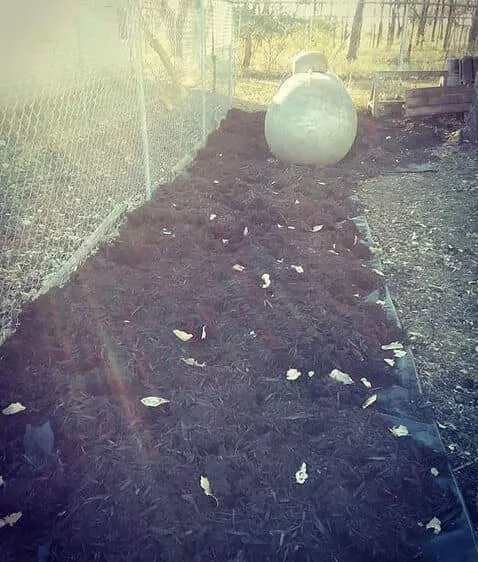 Local landscaping services experts serving Des Moines, IA - Avery Lawn Tree Landscape