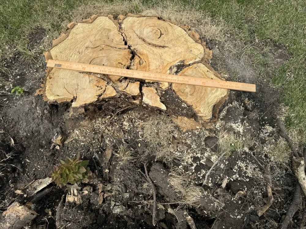 Affordable landscape design in Des Moines, IA by Avery Stump Grinding