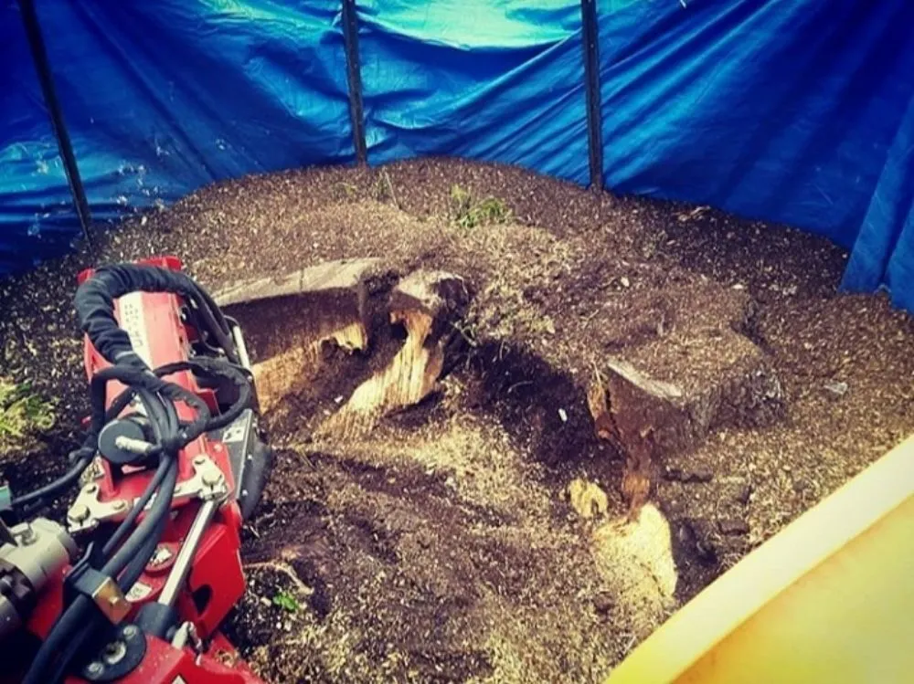 Reliable outdoor landscaping in Des Moines, IA - Avery Stump Grinding