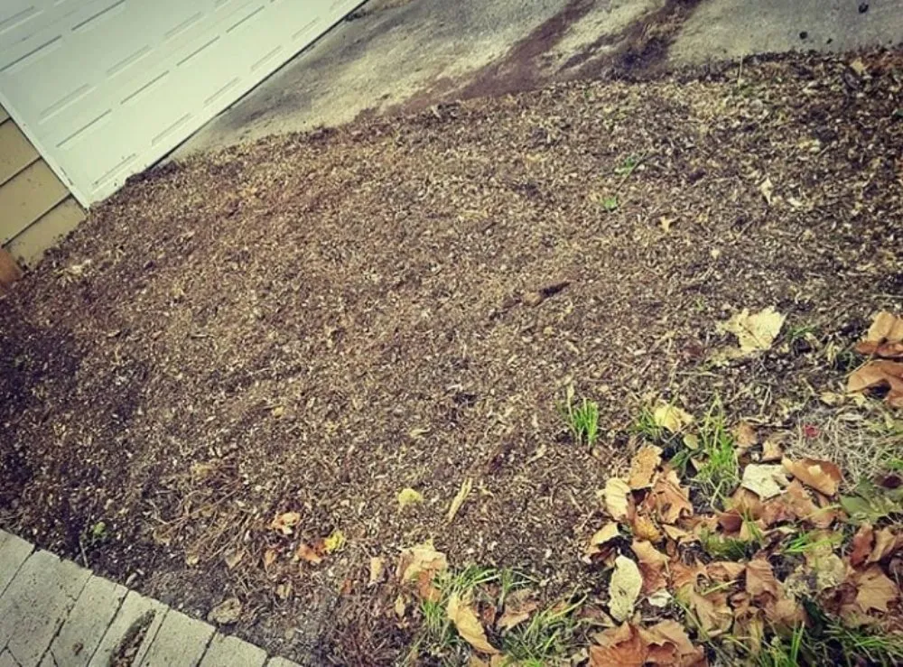 Top-rated yard maintenance in Des Moines, IA by Avery Stump Grinding