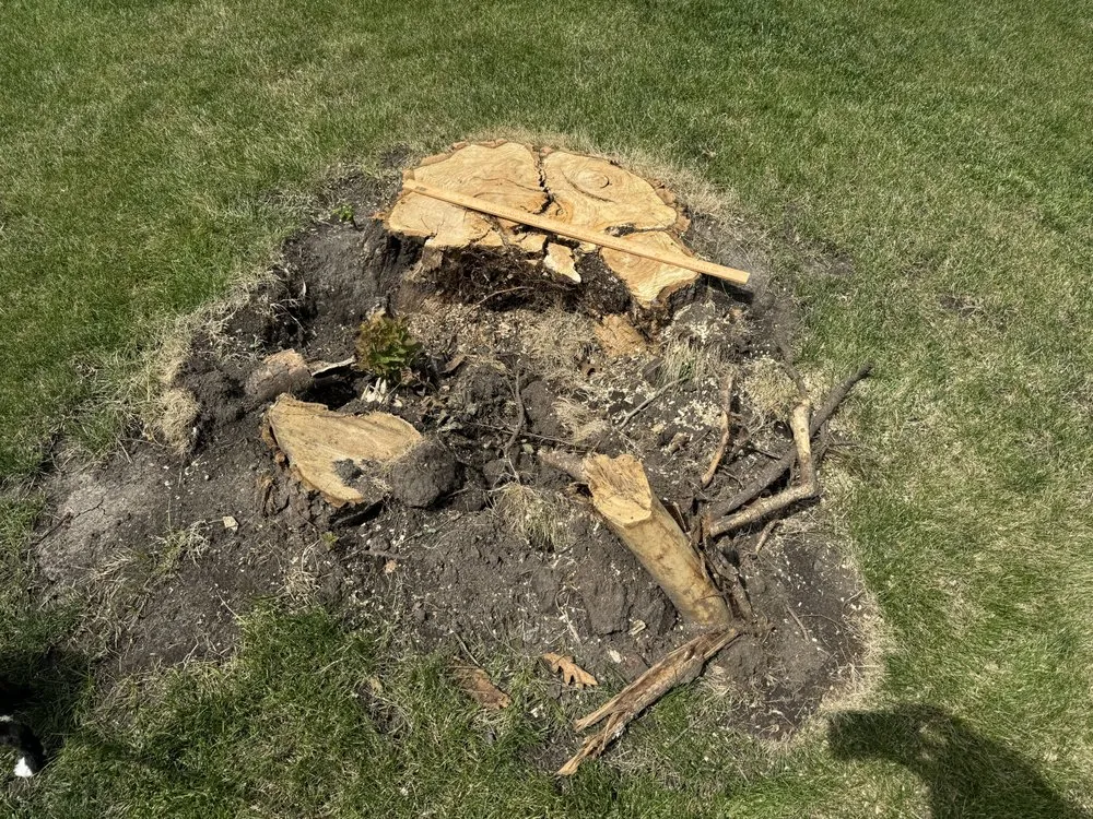 Custom landscape installation with custom design across Des Moines, IA - Avery Stump Grinding