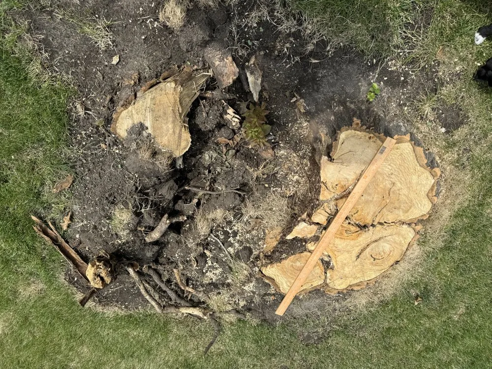 Reliable yard cleanup service in Des Moines, IA - Avery Stump Grinding